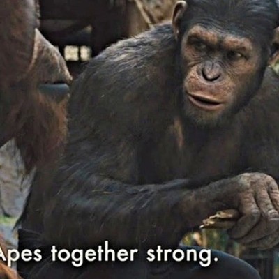 CryptoAPE
