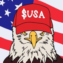 American Coin USA Logo
