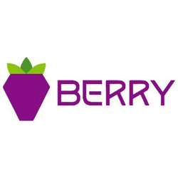 Berry Data BRY Logo
