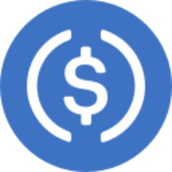 Binance Bridged USDC (BNB Smart Chain) Logo
