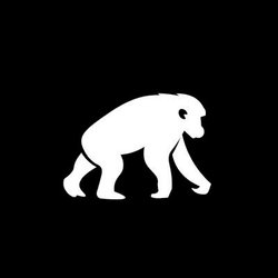 BlackPool BPT Logo