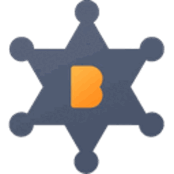 Bounty0x BNTY Logo