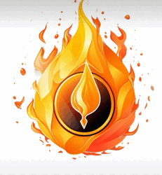 BurnedFi Logo