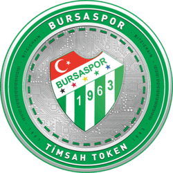 Bursaspor Fan Token TMSH Logo