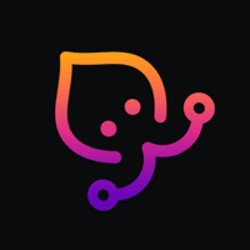 Calamari Network KMA Logo