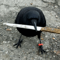 crow with knife CAW Logo