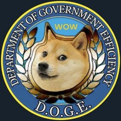 Project thumbnail: Department of Gov Efficiency Logo