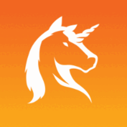 Derby Stars RUN DSRUN Logo
