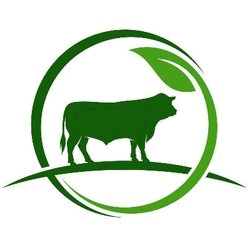Dimitra DMTR Logo