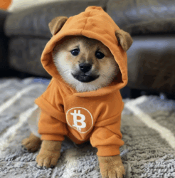 Dog (Bitcoin) Logo