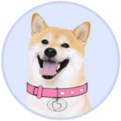 DogeGF DOGEGF Logo