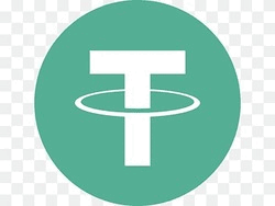 DuckChain Bridged USDT (DuckChain) USDT Logo