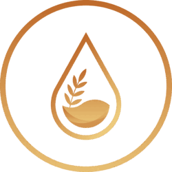 ENKI Protocol ENKI Logo