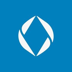 Ethereum Name Service ENS Logo