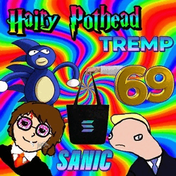 Project thumbnail: HAIRYPOTHEADTREMPSANIC69INU SOLANA Logo