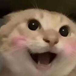 哈基米 (Hajimi) Logo