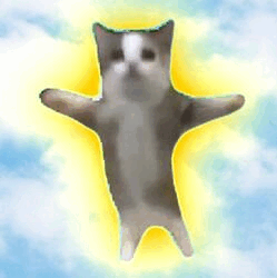 Happy Cat HAPPY Logo