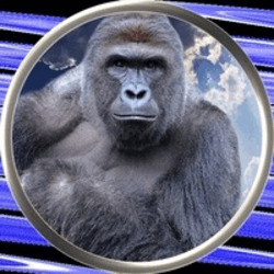 Harambe on Solana HARAMBE Logo