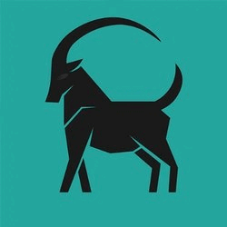 Impermax IBEX Logo