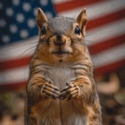 Project thumbnail: JUSTICE FOR PEANUT JFP Logo