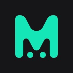 Mint Token MT Logo