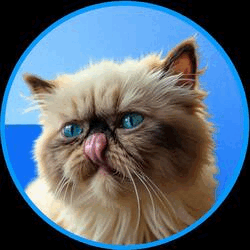Mr. Miggles MIGGLES Logo