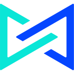 MultiVAC MTV Logo
