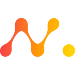 NetMind Token NMT Logo