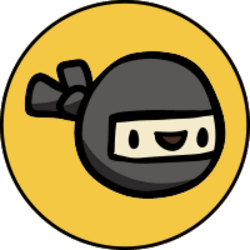 Ninja Squad Token NST Logo