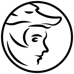 Not Financial Advice NFAI Logo