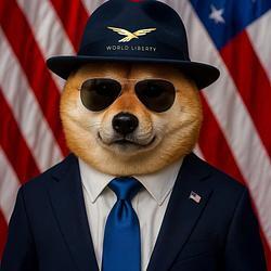 Project thumbnail: Official DogeWLFI Coin Logo