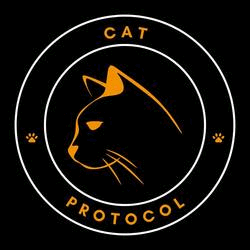 OPCAT OPCAT Logo
