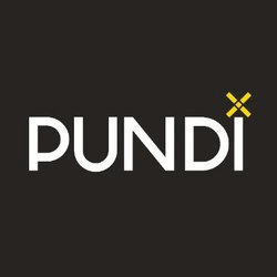 Pundi X PUNDIX Logo