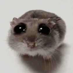 SAD HAMSTER HAMMY Logo