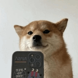 SelfieDogCoin SELFIE Logo