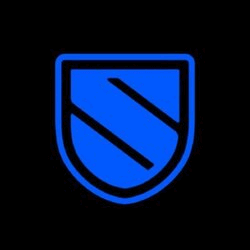 Sentinel P2P Logo