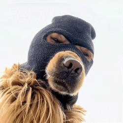 Ski Mask Dog SKI Logo