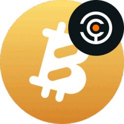 Solv Protocol Staked BTC XSOLVBTC Logo