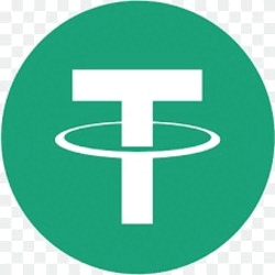 Soneium Bridged USDT (Soneium) USDT Logo
