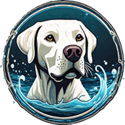 Splash Dog BUSTER Logo