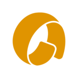 Deq Staked AVAIL STAVAIL Logo