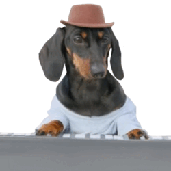 Synthesizer Dog SYNDOG Logo