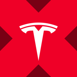 Tesla xStock Logo