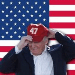 Project thumbnail: TRUMP 47 47 Logo