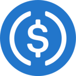USDC Logo