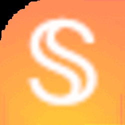 USDS Logo