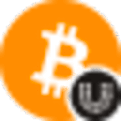 Wrapped Bitcoin (Universal) UBTC Logo