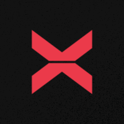 XBorg XBG Logo
