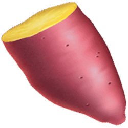 YAM YAM Logo